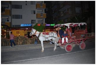 其他 4 Enver Bey Resort