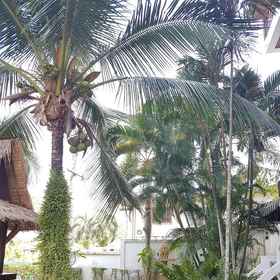 Baan Chayna Resort Hotel 1, 酒店 卡马拉海滩观景点