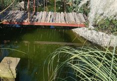 Lain-lain 6 Romantik Villa Dalla