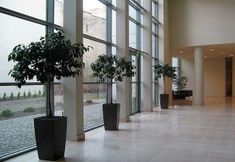 Others 6 Apartament Angel Plaza