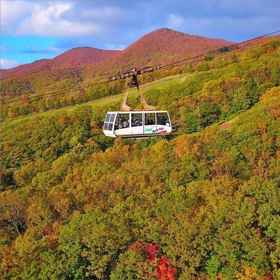 蔵王センタープラザ 1, Cancer Center Yamagata University Faculty of Medicineホテル