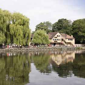 梅德斯通桑德林普瑞米爾飯店1 , 飯店FireFields Gymnastics