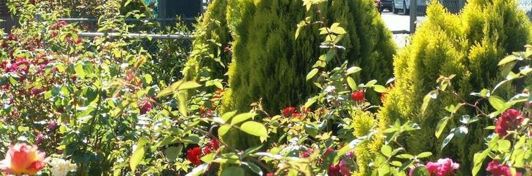 기타 Executive Motel