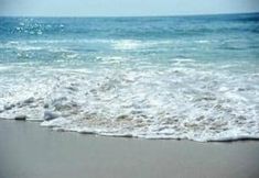 其他 7 Southampton Long Island Hotel