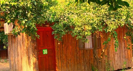 その他 2 Saban Tree Houses