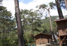 その他 3 Saban Tree Houses