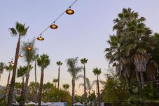 Others The Capri Hotel