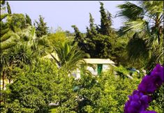 Khác 2 Lemon Garden