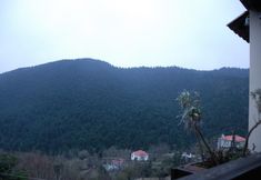 其他 5 Villa Virginia Hotel