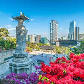 Hotel Cello 1, Hotel Gyomun Bangjeonghwan Library