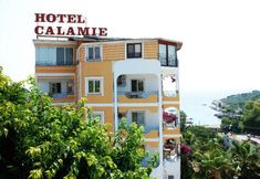 其他 2 Hotel Calamie