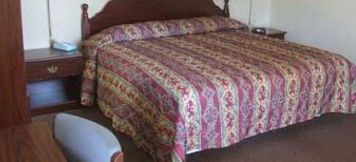 その他 3 Four Seasons Motel - Albany