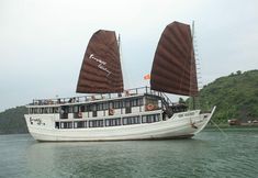 その他 3 Apricot Premium Cruise