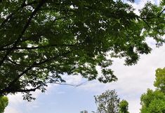 Lain-lain 4 Nantong Wenfeng Hotel