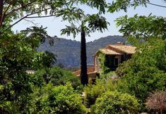 その他 3 Sa Vall Valldemossa