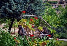 その他 4 Sa Vall Valldemossa