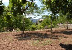 その他 6 Sa Vall Valldemossa