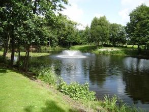 Others 4 Hotel Zur Post New Style