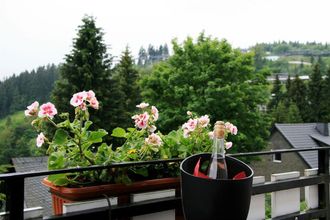 その他 4 Big Mountain Das Waldhaus