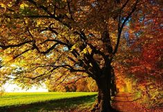 其他 3 Inn at Stony Creek