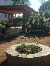 Others 4 Texas White House