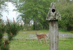 Others 3 Westport Bayside Bed And Breakfast