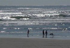 Others 4 Westport Bayside Bed And Breakfast