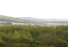 Lainnya 3 Lodge Farmhouse Bed & Breakfast