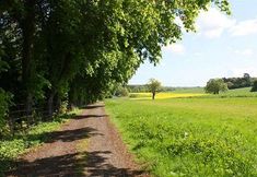 其他 3 Bridge Cottage