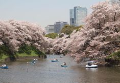 Khác 3 Ryokan Eishinkan
