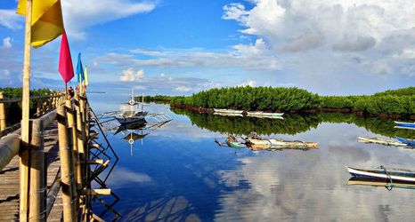 Others 2 Virgin Island Beach Resort