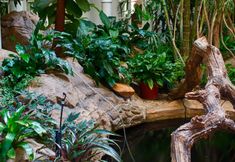 Others 7 The Munro Boutique Hotel