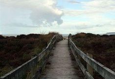 Lain-lain 6 Tawharanui Lodge