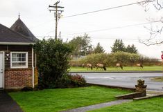 Lain-lain 2 Ecola Creek Lodge