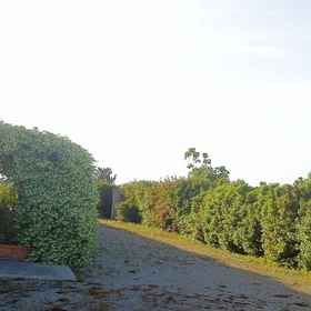 Masseria Li Campi1 , 飯店卡斯特里尼亚诺德尔卡波