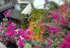 Khác 3 Four Seasons Youth Hostel