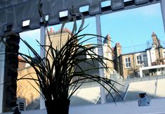 其他 2 146 Studios