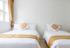 기타 6 D Seven Suites