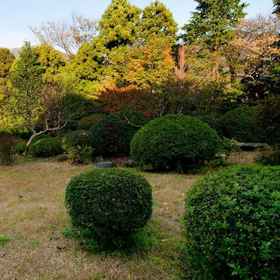 Hakone Gora Ryoan Kanon 1, Hotel Ashigarako Michi Manyo Udon Main Store
