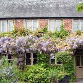 ザ・コニグレ 1, ブロードチョークホテル