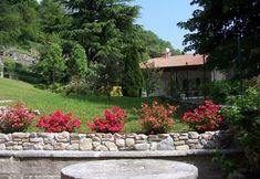 Others 3 Palazzo Ronchelli