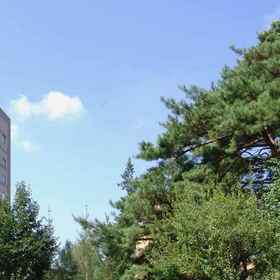 Forest Inn Showakan (Okura Hotels & Resorts) 1, Hotel Higashimurayama