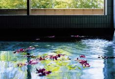 Others 6 Forest Inn Showakan (Okura Hotels & Resorts)