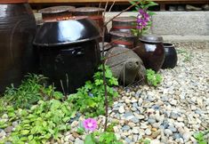 Khác 4 Hanok Eugene's House Dongdaemun