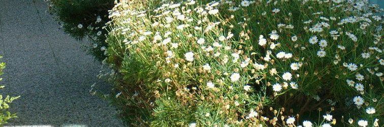 Others Belek Golf Apartments