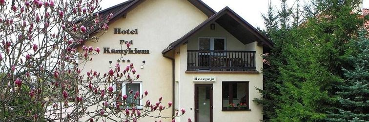 其他 Hotel Pod Kamykiem
