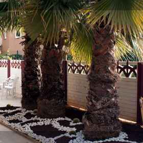 퀸 RA 호텔 1, 갈레리 크리스탈 호텔