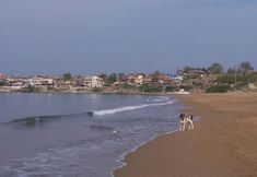 其他 6 Beach House Hotel