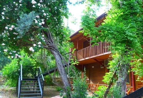 其他 Cirali Simge Holiday Houses