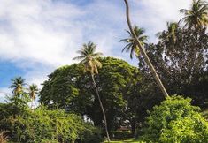 Others 3 Mount Irvine Bay Resort